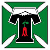 logo Deportes Temuco