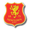 logo Newtown