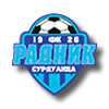 logo Radnik