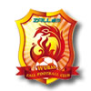 logo Wuhan Zall