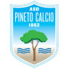 logo ASD Pineto Calcio