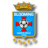 logo Blooming