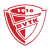 logo DVTK