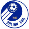 logo Dalian Pro