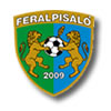 logo Feralpisalo