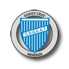 logo Godoy Cruz