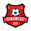 logo Hermannstadt