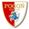 logo Pogon S.