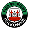 logo Polkowice