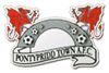 logo Pontypridd Town