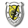 logo Radomlje