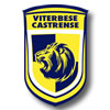 logo Viterbese