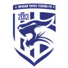 logo Wuhan T