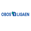 Logo obos ligaen